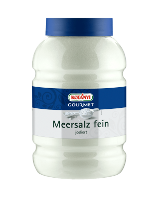 Kotányi Gourmet Meersalz fein jodiert in der 3000ccm Dose