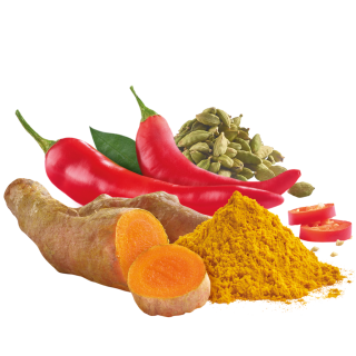 Curcuma mit Chili, Kardamom und Paprika