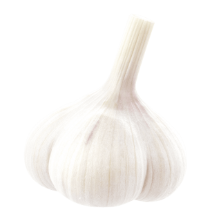 schwebende Knoblauchknolle
