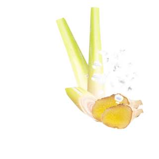 Meersalz Ingwer Zitronengras