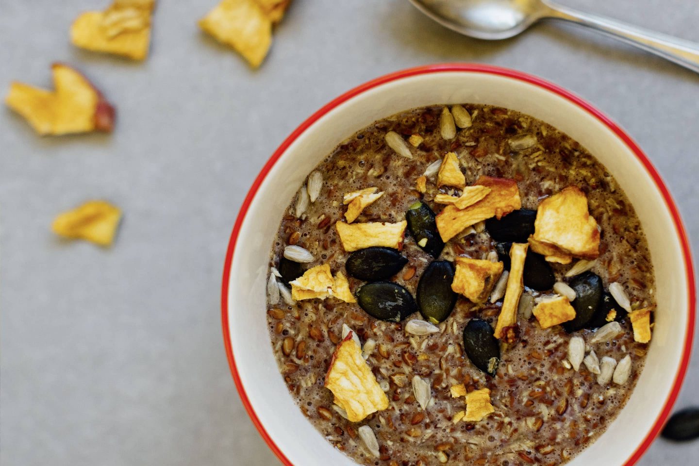 Superfood Pudding mit Zimt und Leinsamen in einer weißen Schüssel mit rotem Rand, getoppt mit Apfel Chips