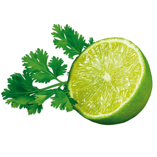 Limette mit Petersilie
