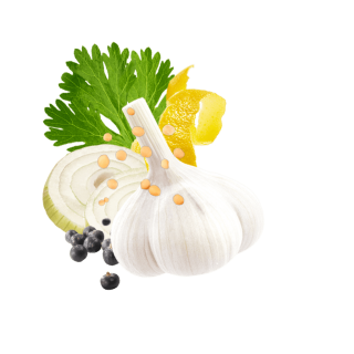 Zitronenschale, Knoblauchknolle, Wacholderbeeren, Zwiebelscheiben und Korianderblatt
