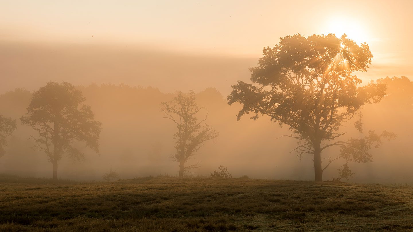 Herbstliche Landschaft im Morgentau