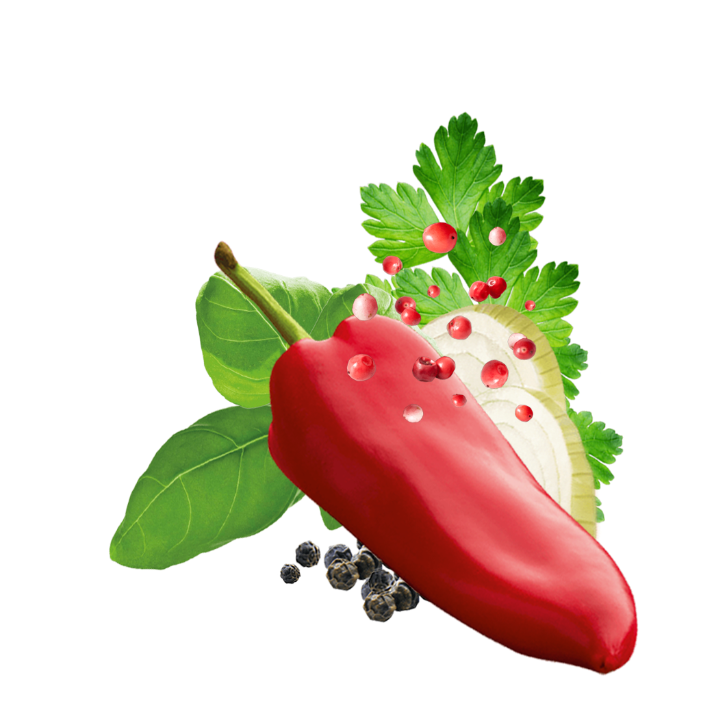 Paprika, Rosa Beeren, Petersilie, Basilikum und Zwiebel