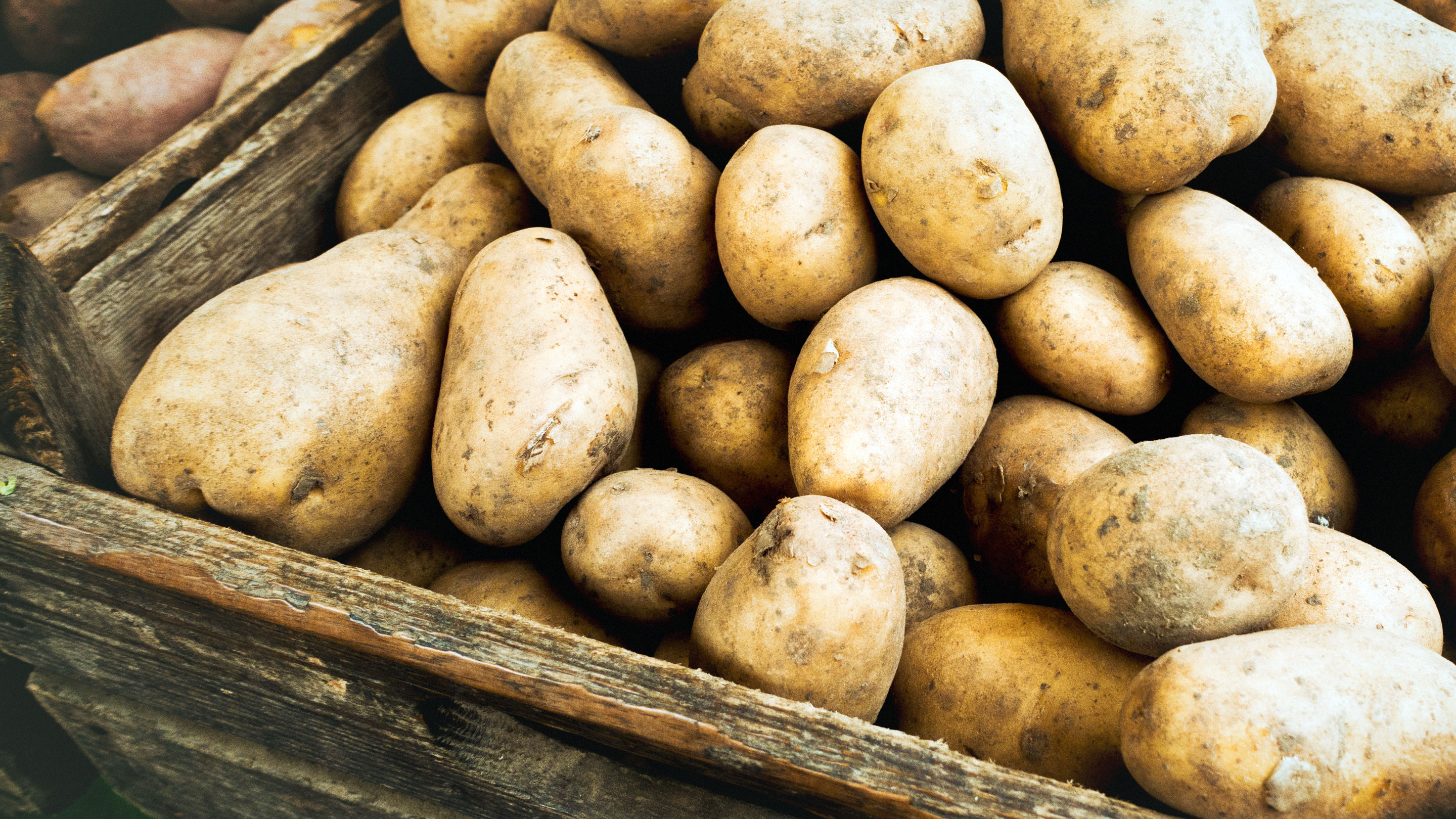 Kartoffel Nährstoffe