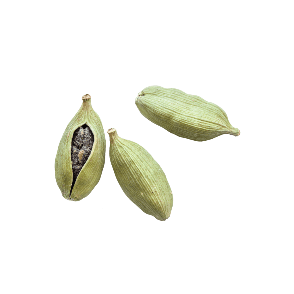 Cardamom Detail