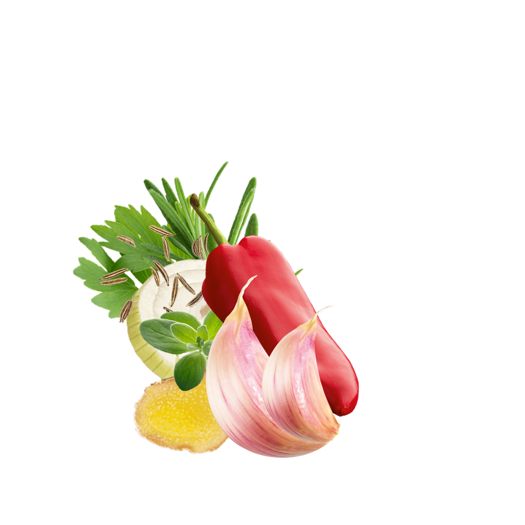 Detailbild Family Gemüse