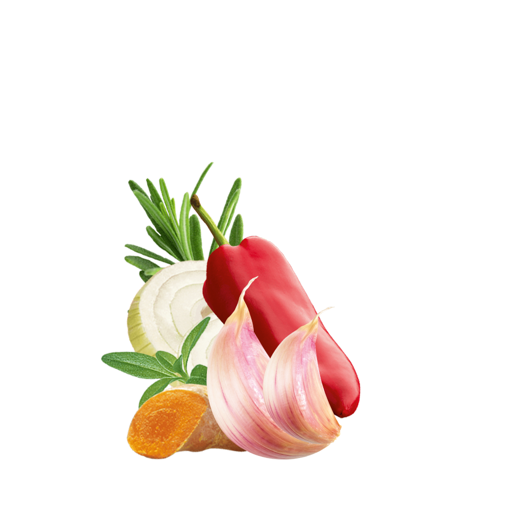 Detailbild Family Kartoffeln