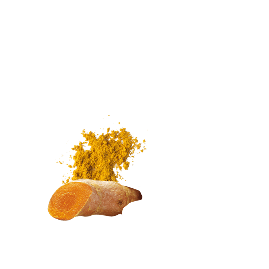 Ricechips Curry Detailbild 4