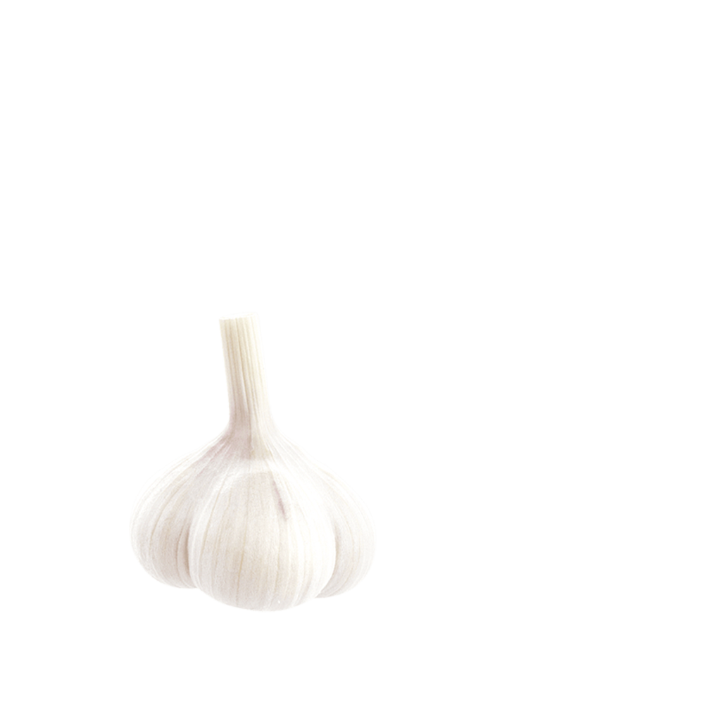 Knoblauch Detail 2