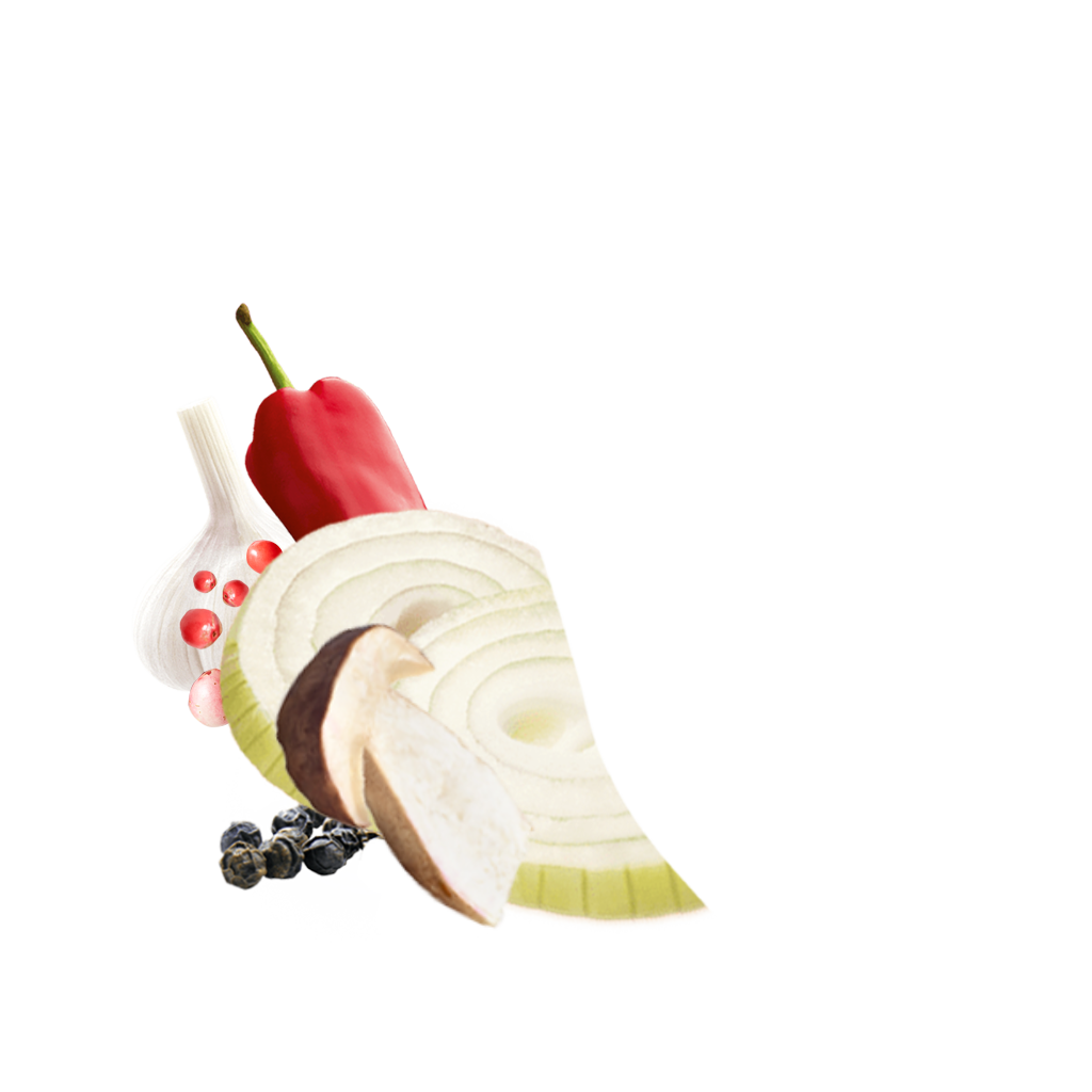 Detailbild Mushroomandgarlic